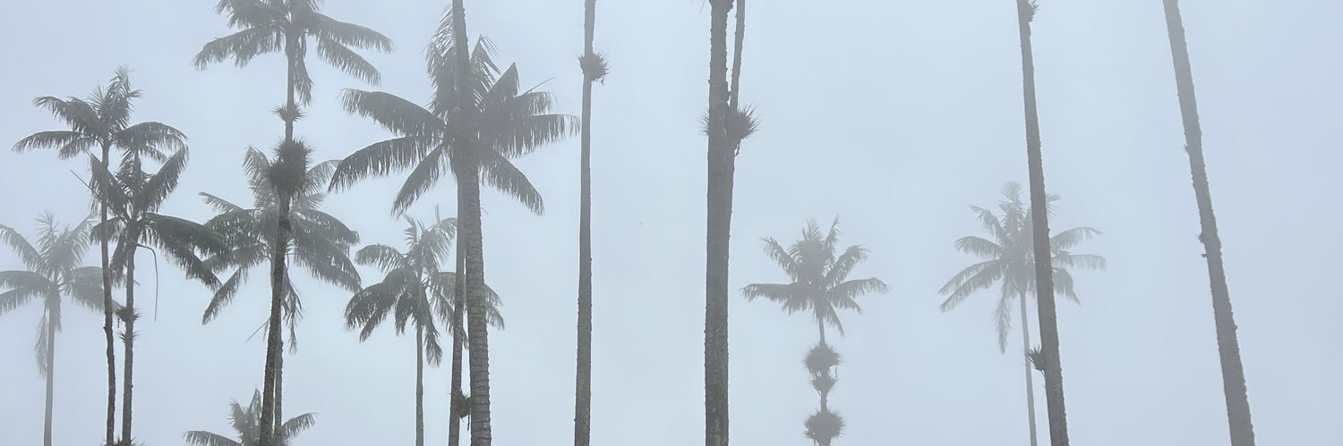 1uziiii's profile banner image