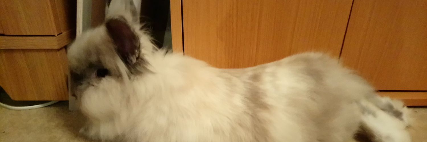 Jadeling97's profile banner image