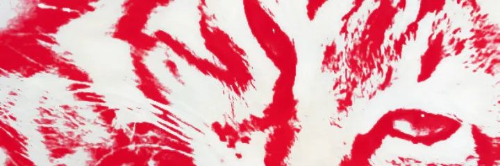 NFT223 l 🍊,💊 | ETHGas ⛽ banner