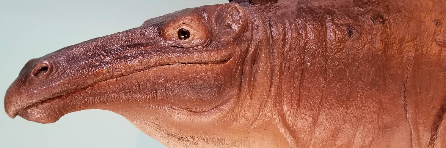 Someguyonline18's profile banner image