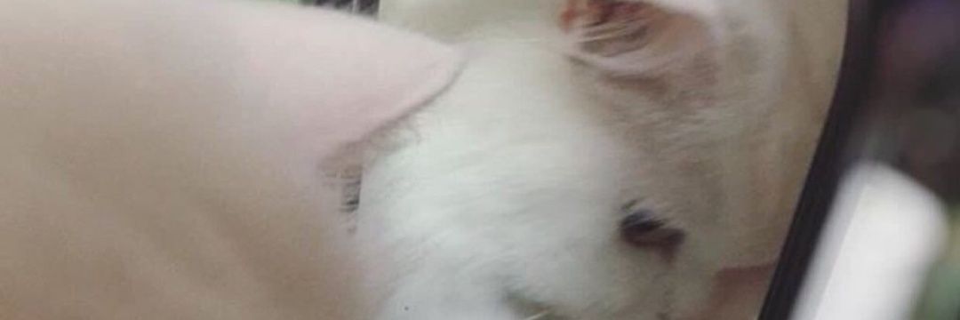 محترف banner