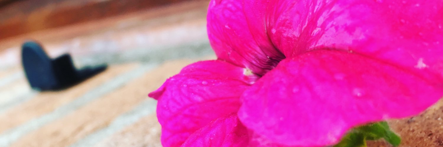 annaboscolo37's profile banner image