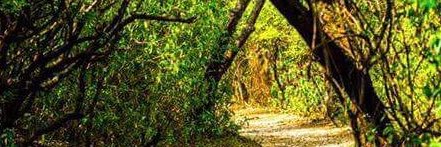 BaseerC's profile banner image