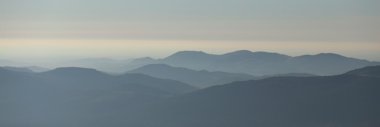 Sam_Albert1's profile banner image