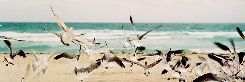 khafizkaa's profile banner image