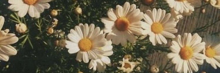 camilababe's profile banner image