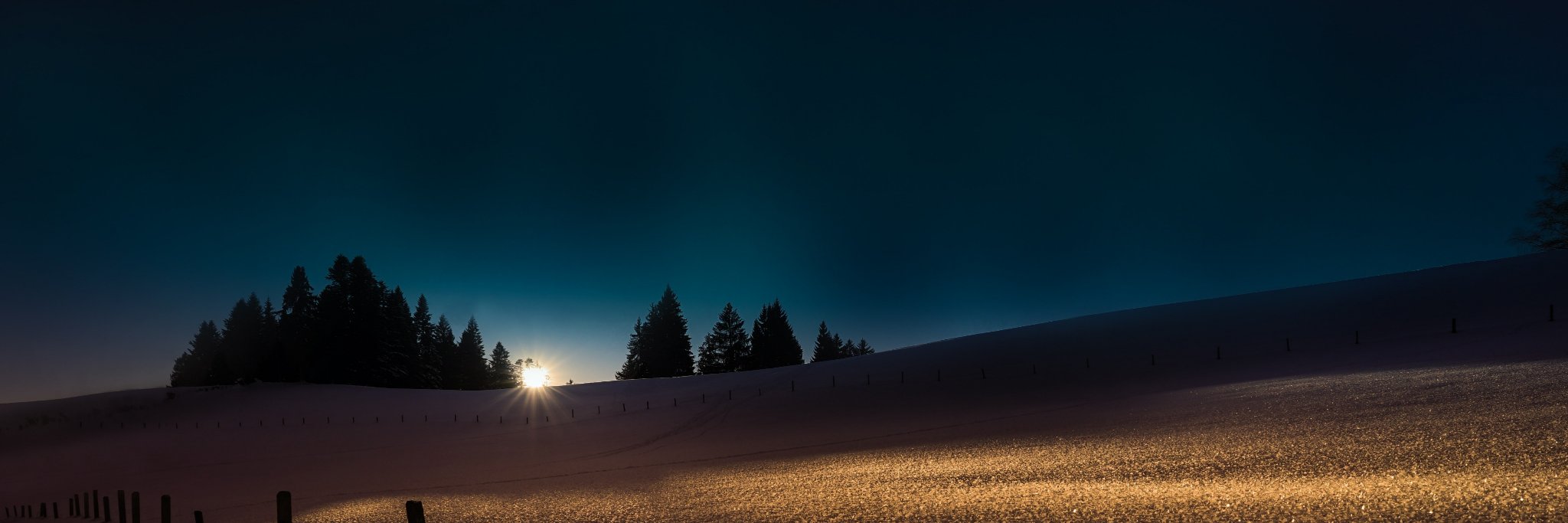 Daniel Tomlinson banner