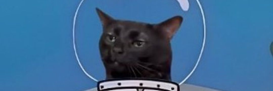 abelhinhazoom's profile banner image