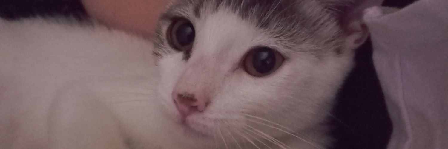 MailiPetetta's profile banner image