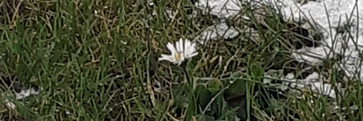 es_bleibt_schwierig banner