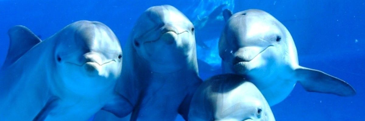 SandTanana's profile banner image