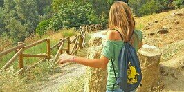 Mdelafont's profile banner image