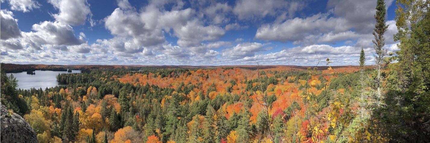 Michael Spratt banner