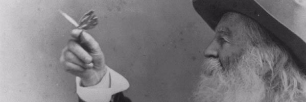 WilderClassroom's profile banner image