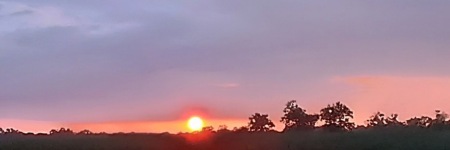 Nicolas Coëffic banner