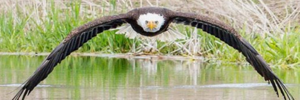 ColoradoKenM's profile banner image