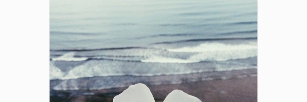 VPollyR's profile banner image