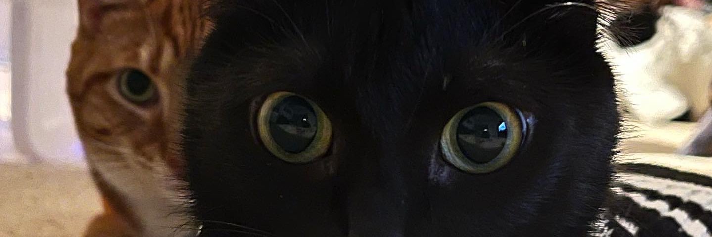 peebeemonique's profile banner image