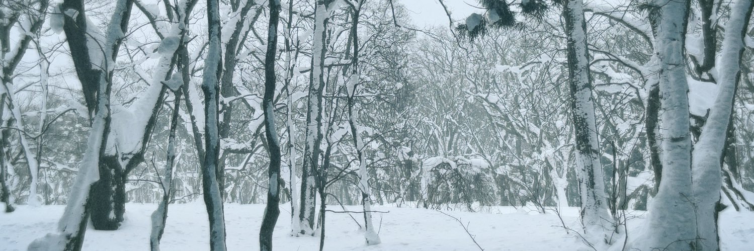 ryo1380's profile banner image