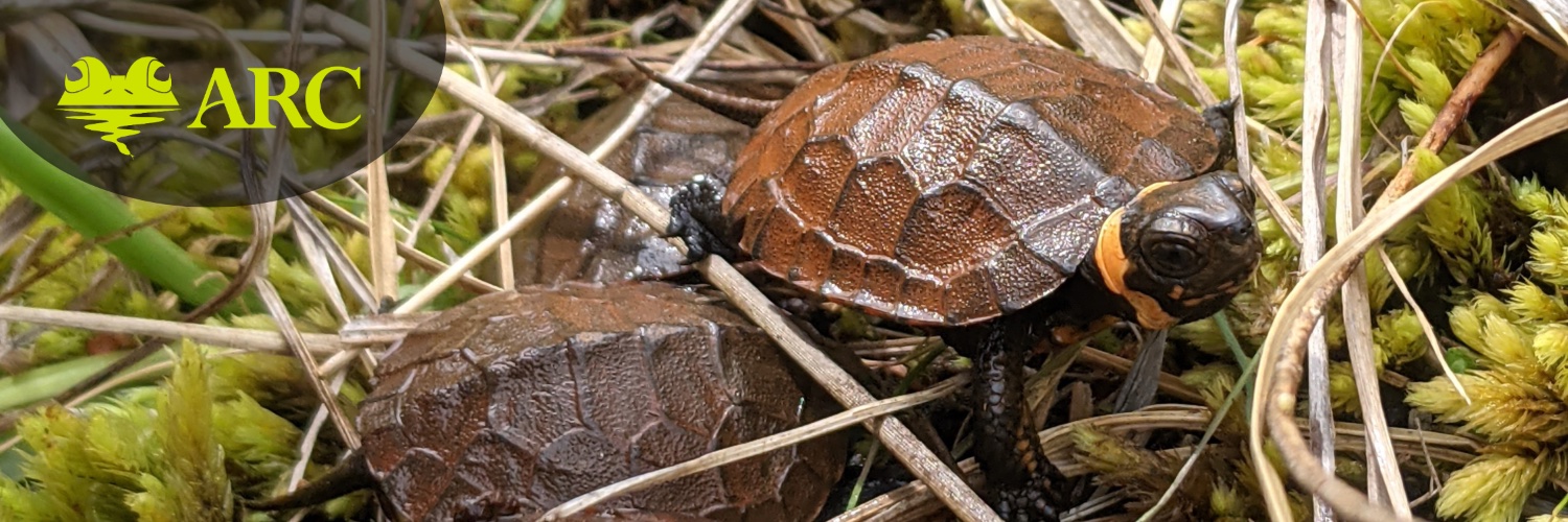 Amphibian and Reptile Conservancy banner