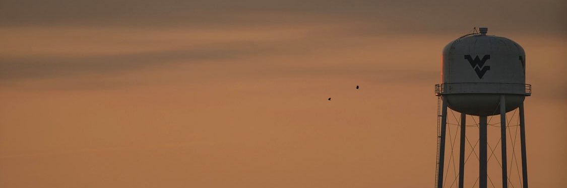 BeccaShane's profile banner image