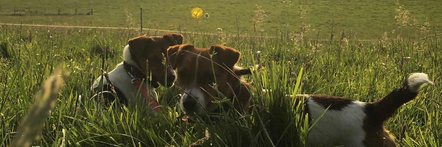 KateThomas94's profile banner image