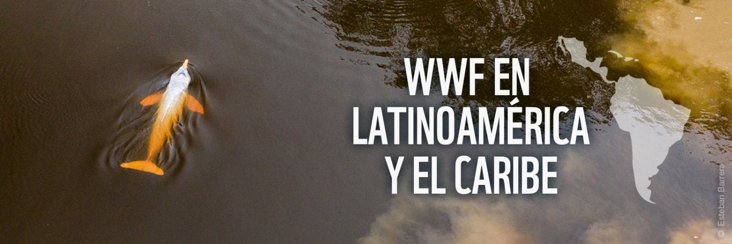 WWF Latinoamérica's banner