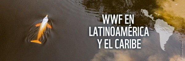 WWF_LAC Profile Banner