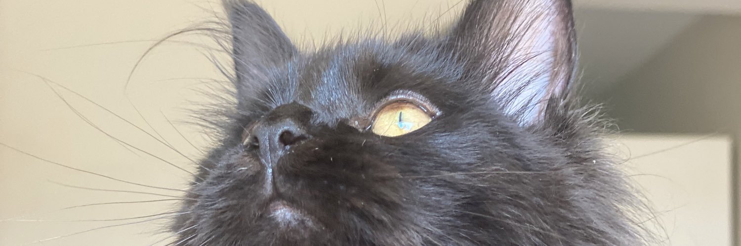 mariatormin's profile banner image