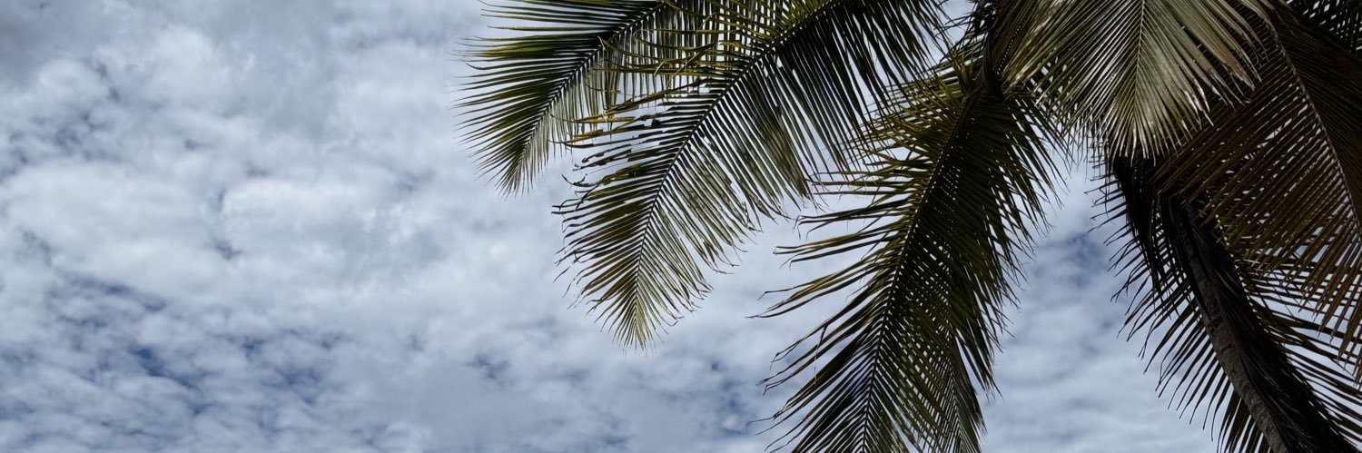 carolinarr24's profile banner image