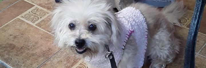 Allee_Le's profile banner image