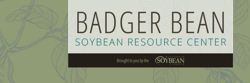 WI Soybean banner