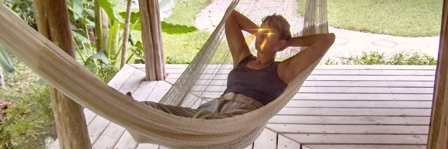 VistaSpirit's profile banner image