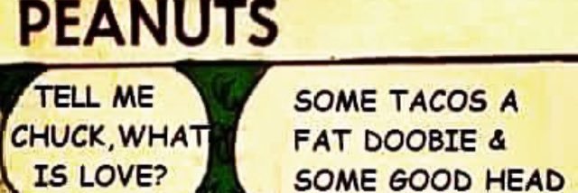 RipleyHicks's profile banner image
