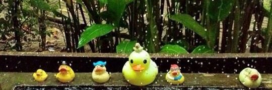 nureesun_a's profile banner image
