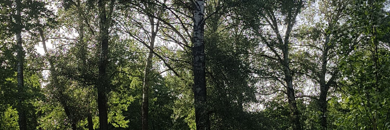 goronzo's profile banner image