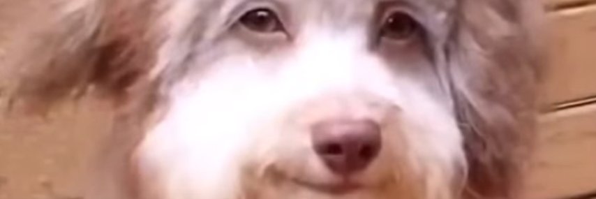 callumyeeee's profile banner image