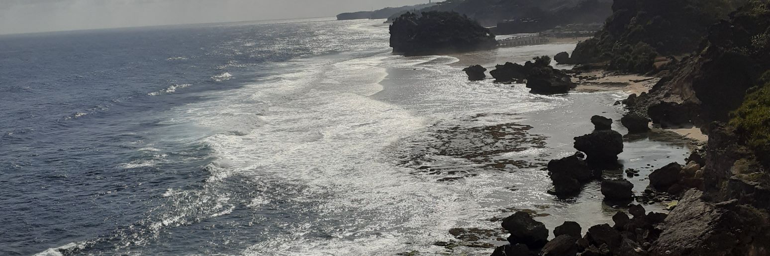 widhieru's profile banner image