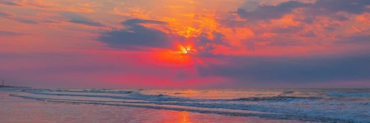 spinosa_daniela's profile banner image
