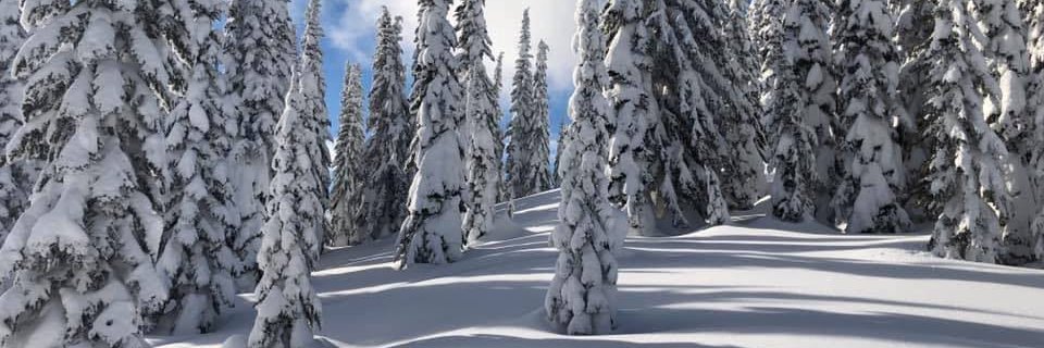 MtnSled24's profile banner image