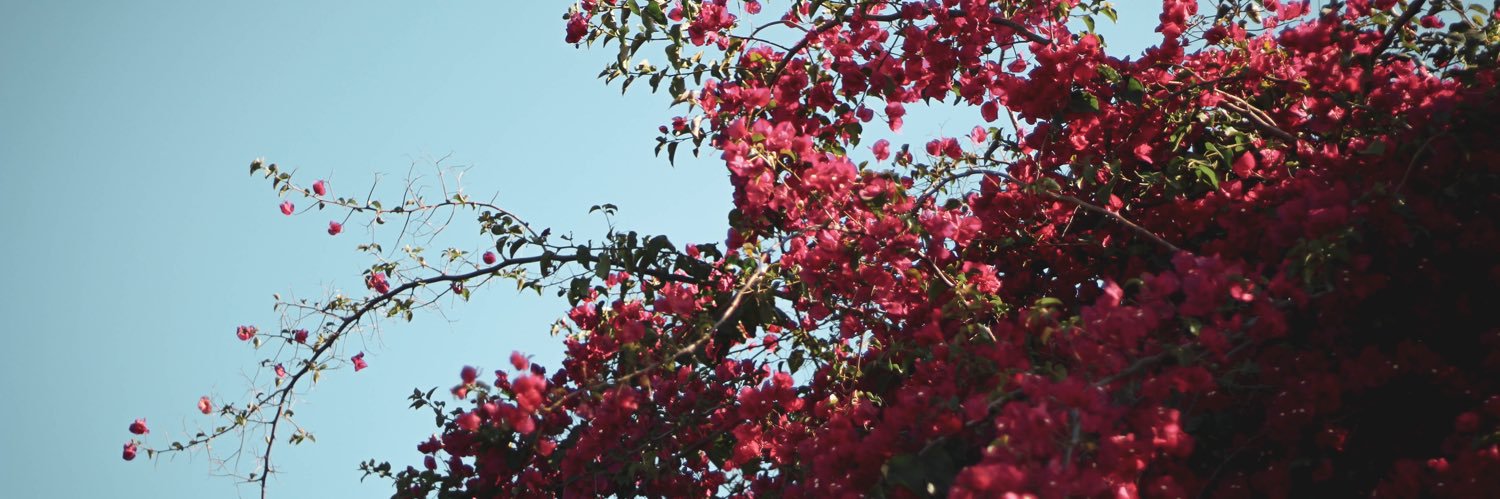 Sandra Román Peñalba banner