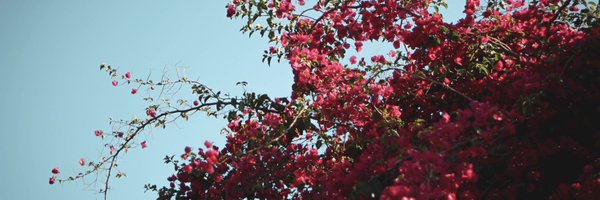 SndraSan Profile Banner