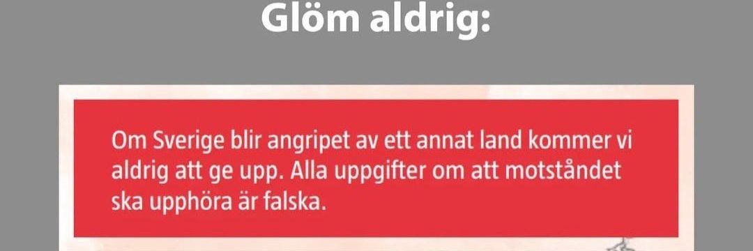 systemk0llapsen's profile banner image
