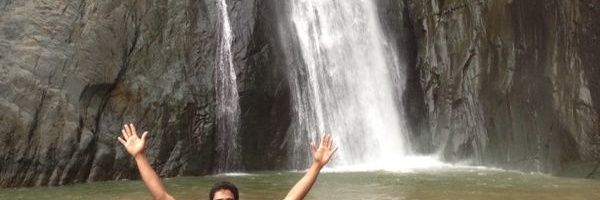 PING (\_/) banner