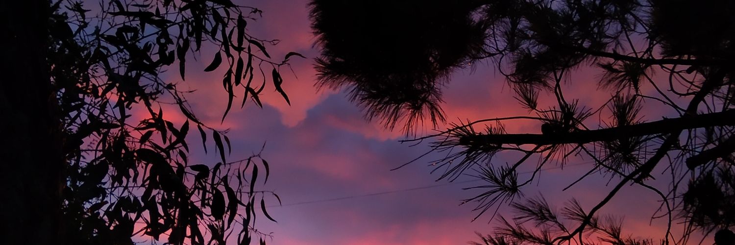 battsk's profile banner image