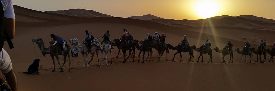 BoazB's profile banner image