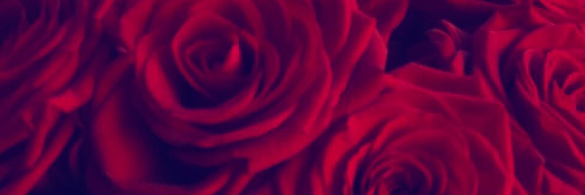 MichelaRocca's profile banner image