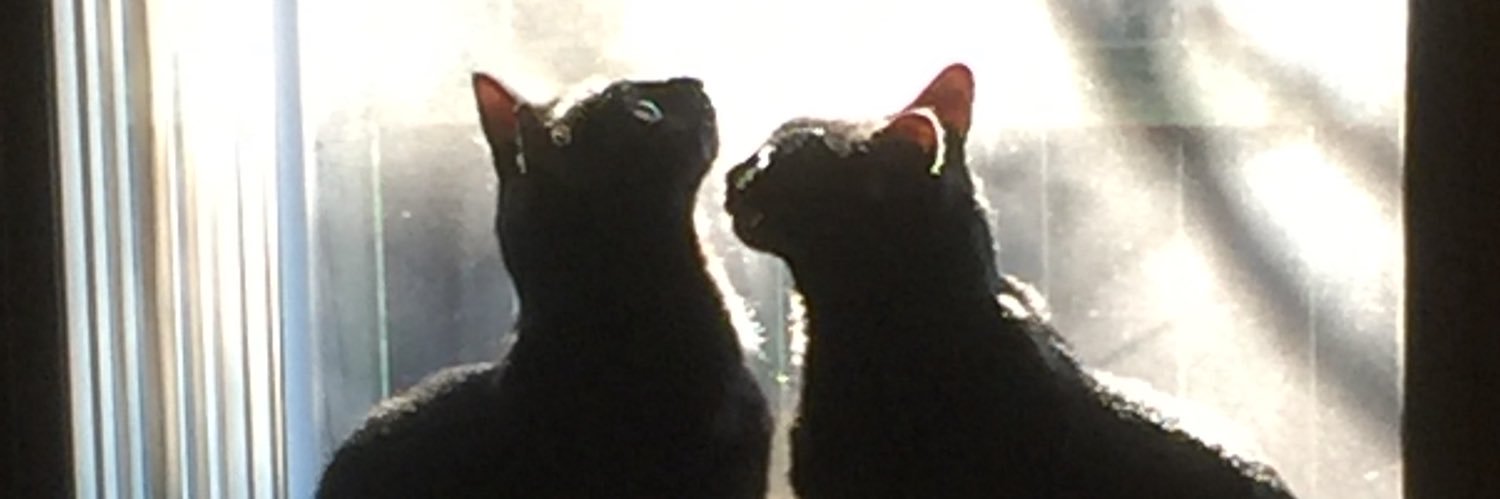 ChamplinMichael's profile banner image
