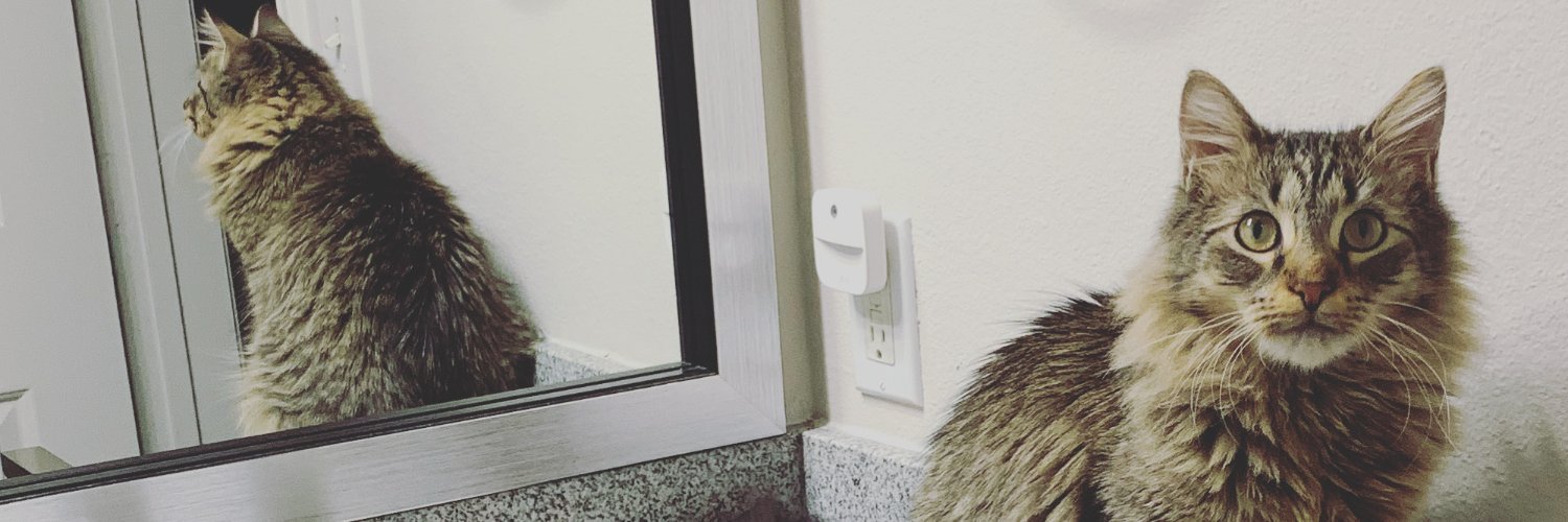 churkyjerky's profile banner image