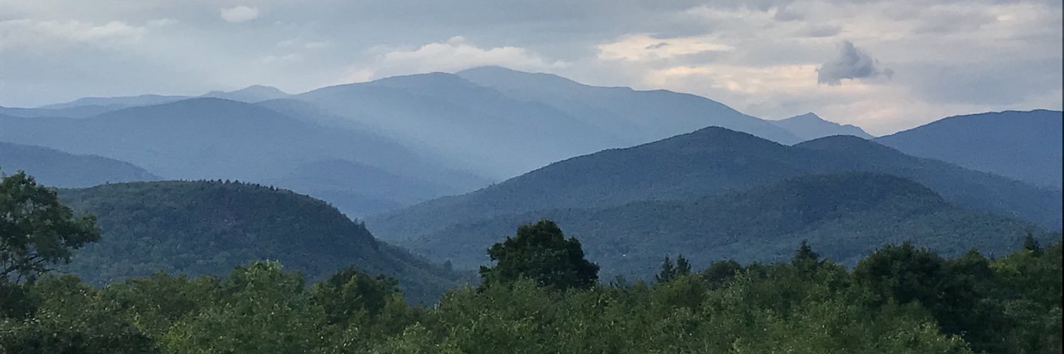 suemlevine's profile banner image